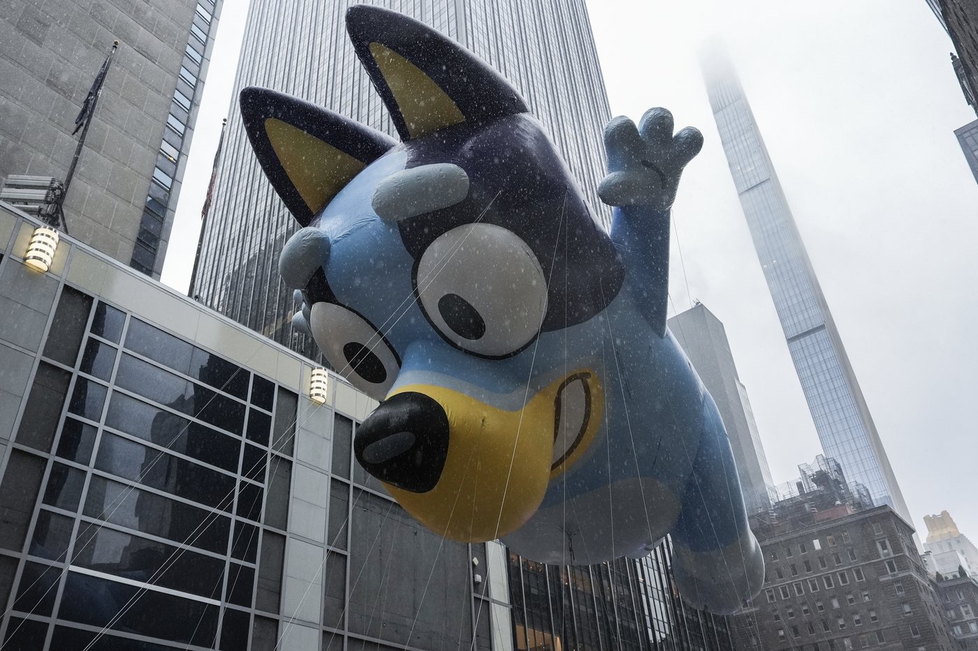 'Bluey' is bound for the big screen, feature film coming in 2027 | iNFOnews.ca