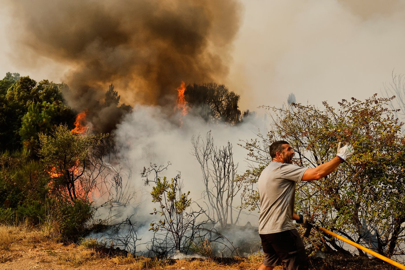 Wildfires kill at least 3 and displace thousands across southern Europe | iNFOnews.ca