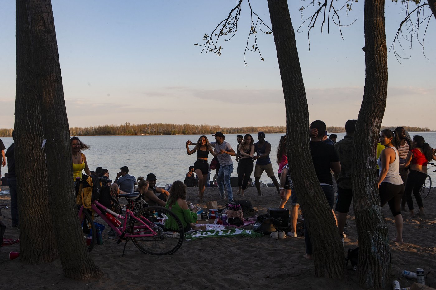 Toronto music series Promise Cherry Beach faces backlash after Palestine dispute | iNFOnews.ca
