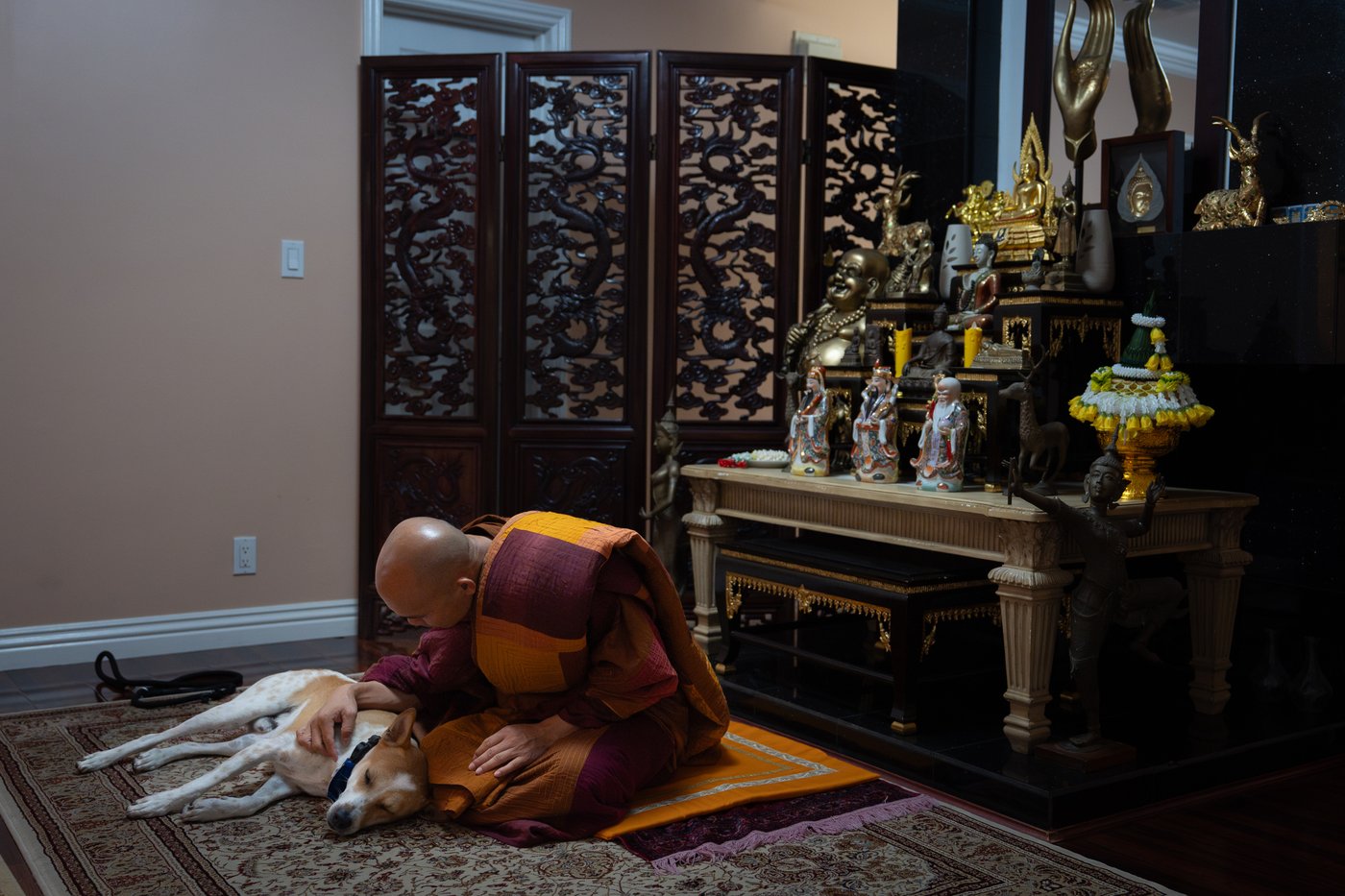 How a 2,300-mile Walk for Peace thrust a Texas monk and his rescue dog into the spotlight | iNFOnews.ca How a 2,300-mile Walk for Peace thrust a Texas monk and his rescue dog into the spotlight | iNFOnews.ca
