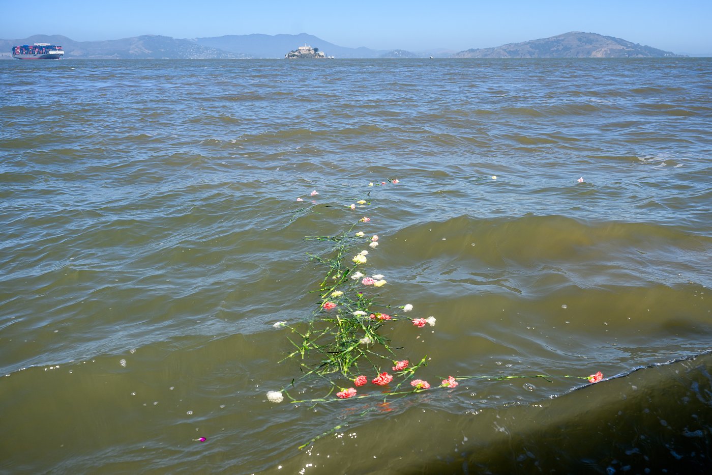 Search and rescue operation for a sunken pontoon boat near Alcatraz Island, in photos | iNFOnews.ca