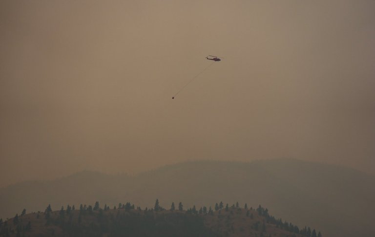 Mexican reinforcements arriving for wildfire fight in Summerland, B.C. | iNFOnews.ca
