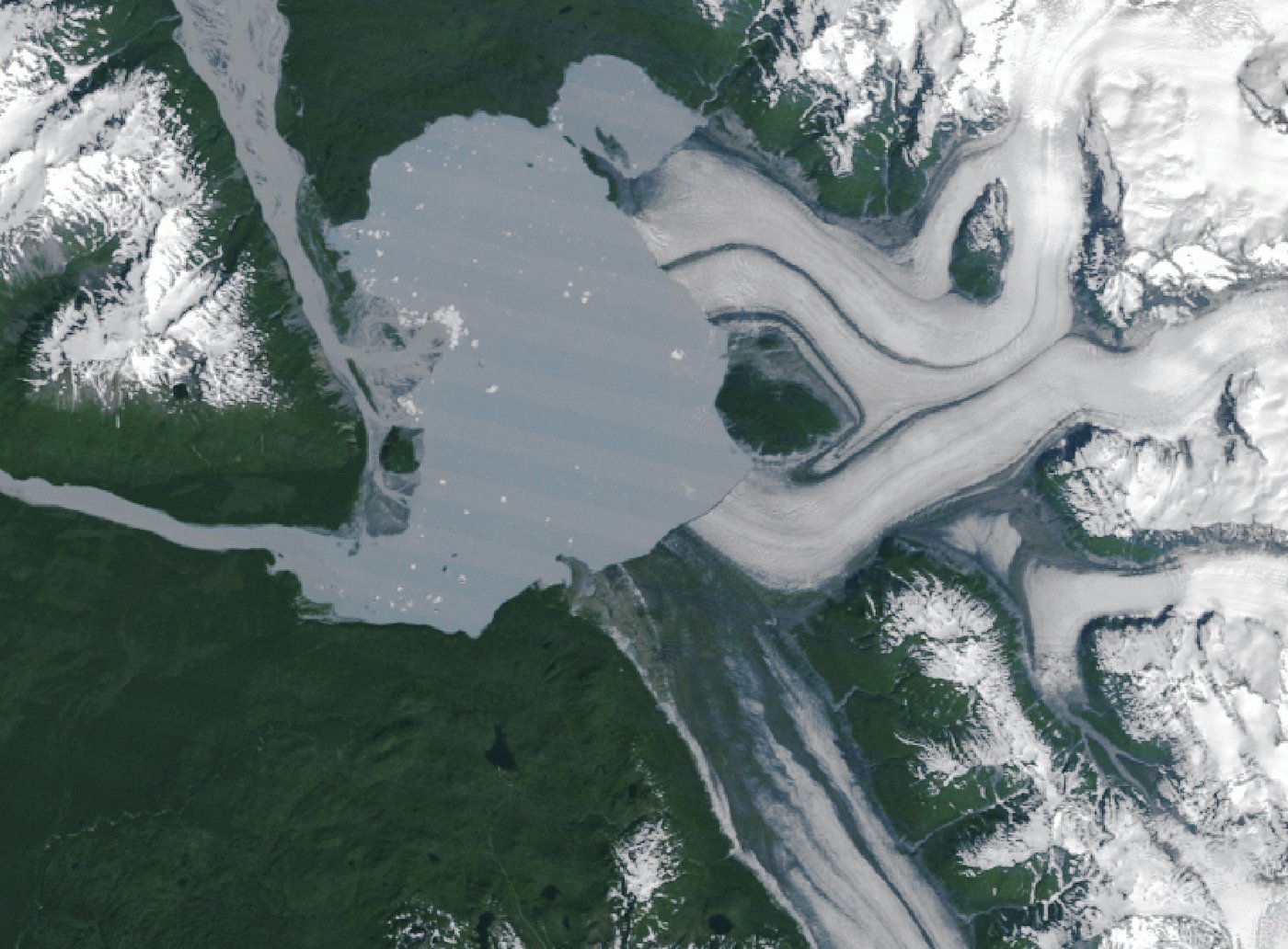 Retreating Alsek Glacier reveals new island in southeast Alaska | iNFOnews.ca Retreating Alsek Glacier reveals new island in southeast Alaska | iNFOnews.ca