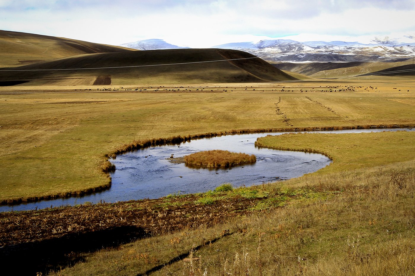 Georgia prepares for a divisive election which could determine its future in Europe | iNFOnews.ca