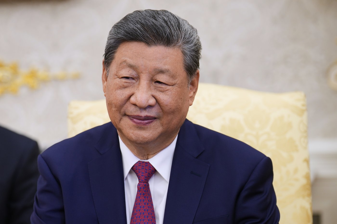 Xi says 2 giant pandas from China will arrive at Atlanta's zoo in the coming days | iNFOnews.ca Xi says 2 giant pandas from China will arrive at Atlanta's zoo in the coming days | iNFOnews.ca