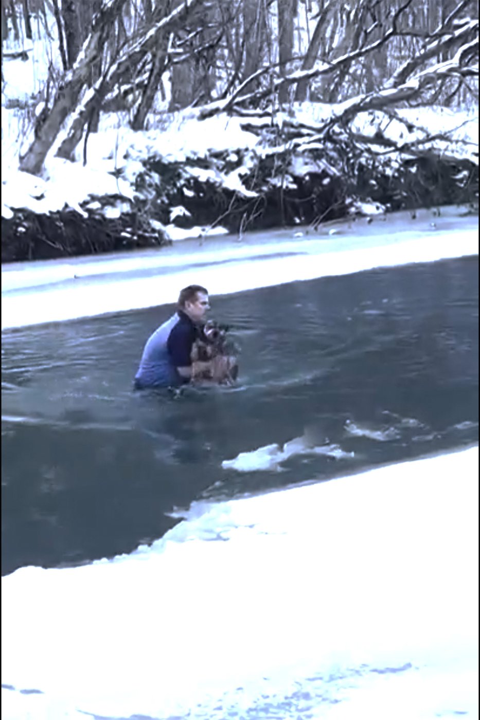 Man's dramatic rescue of dog from freezing river in Vermont caught on video | iNFOnews.ca