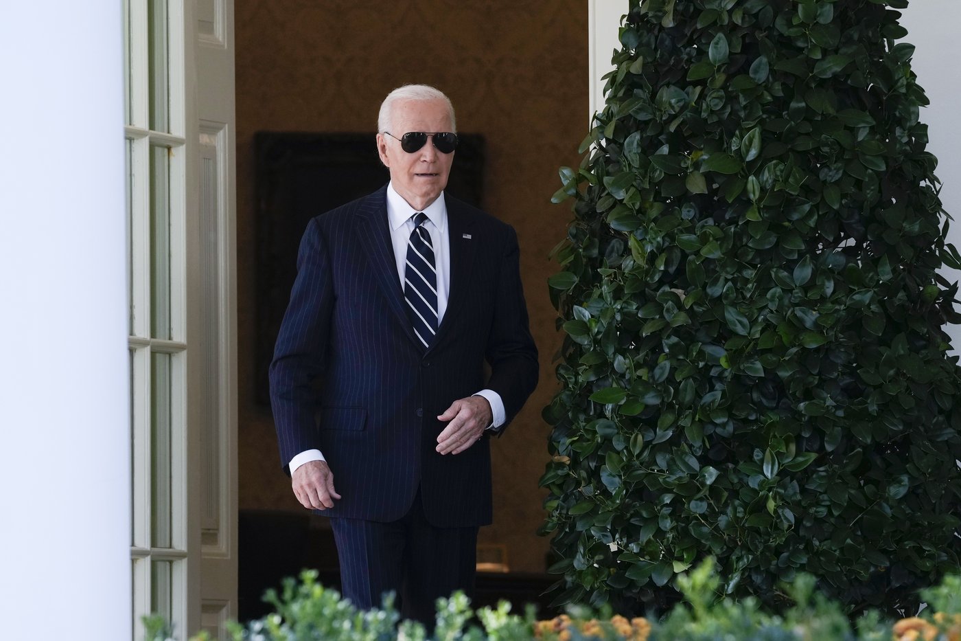 Biden gets blamed by Harris allies for the vice president's resounding loss to Trump | iNFOnews.ca