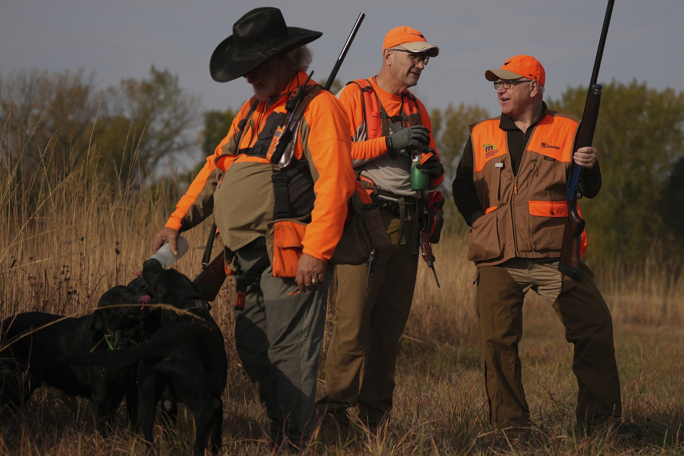 Walz tramps through tall grass but bags no birds as pheasant hunting season opens | iNFOnews.ca Walz tramps through tall grass but bags no birds as pheasant hunting season opens | iNFOnews.ca