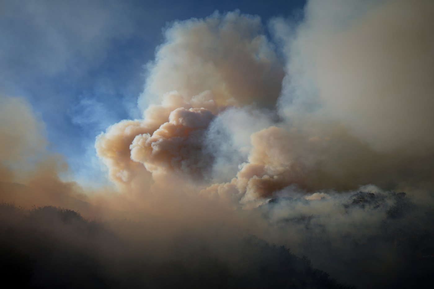 Study ties particle pollution from wildfire smoke to 24,100 US deaths per year | iNFOnews.ca