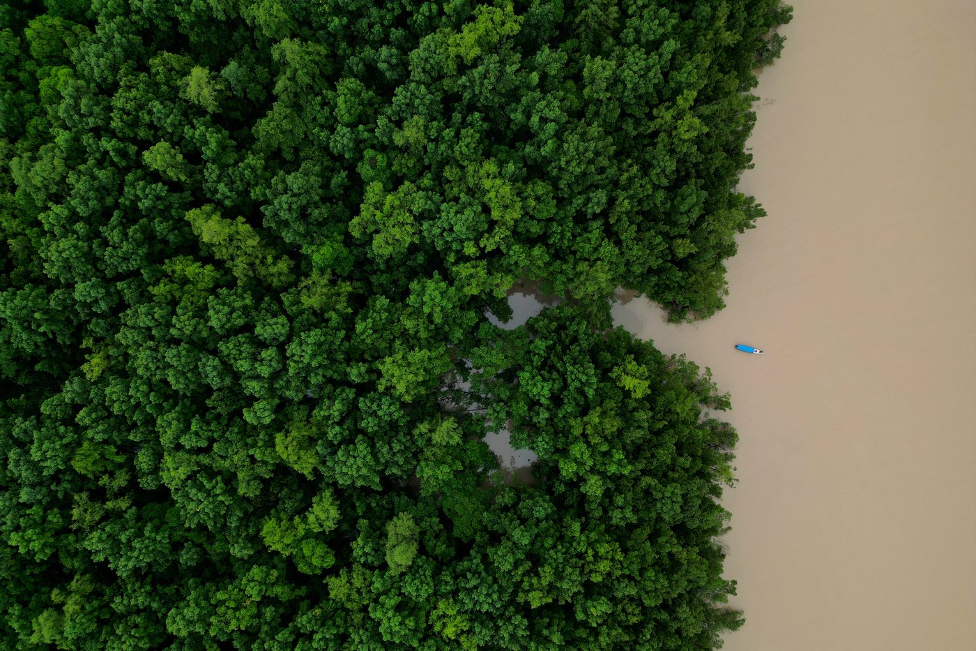 Brazilian government commits $617.5M to Amazon ecological investment | iNFOnews.ca