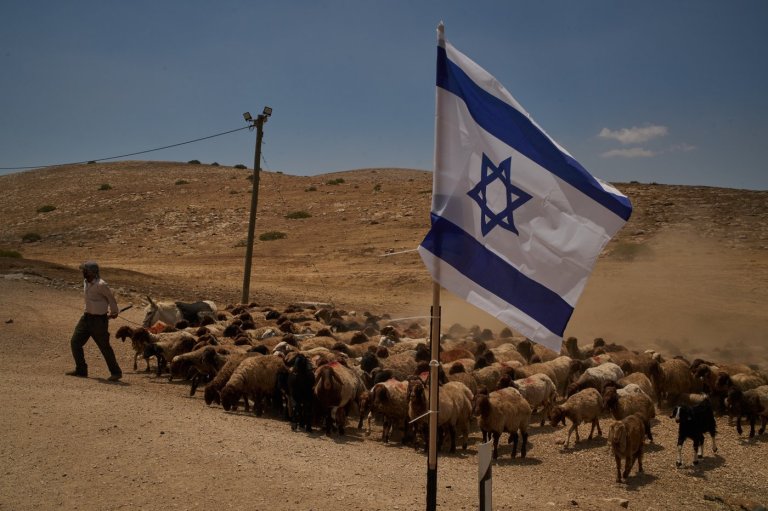 PHOTO ESSAY: Palestinian shepherds endure life alongside Israeli settler outposts | iNFOnews.ca
