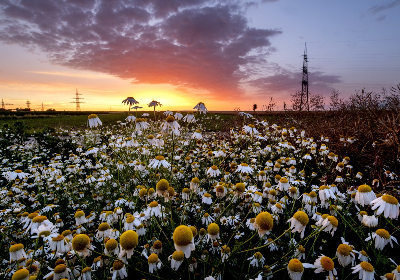 PHOTO COLLECTION: Climate Environment Germany Nature | iNFOnews.ca