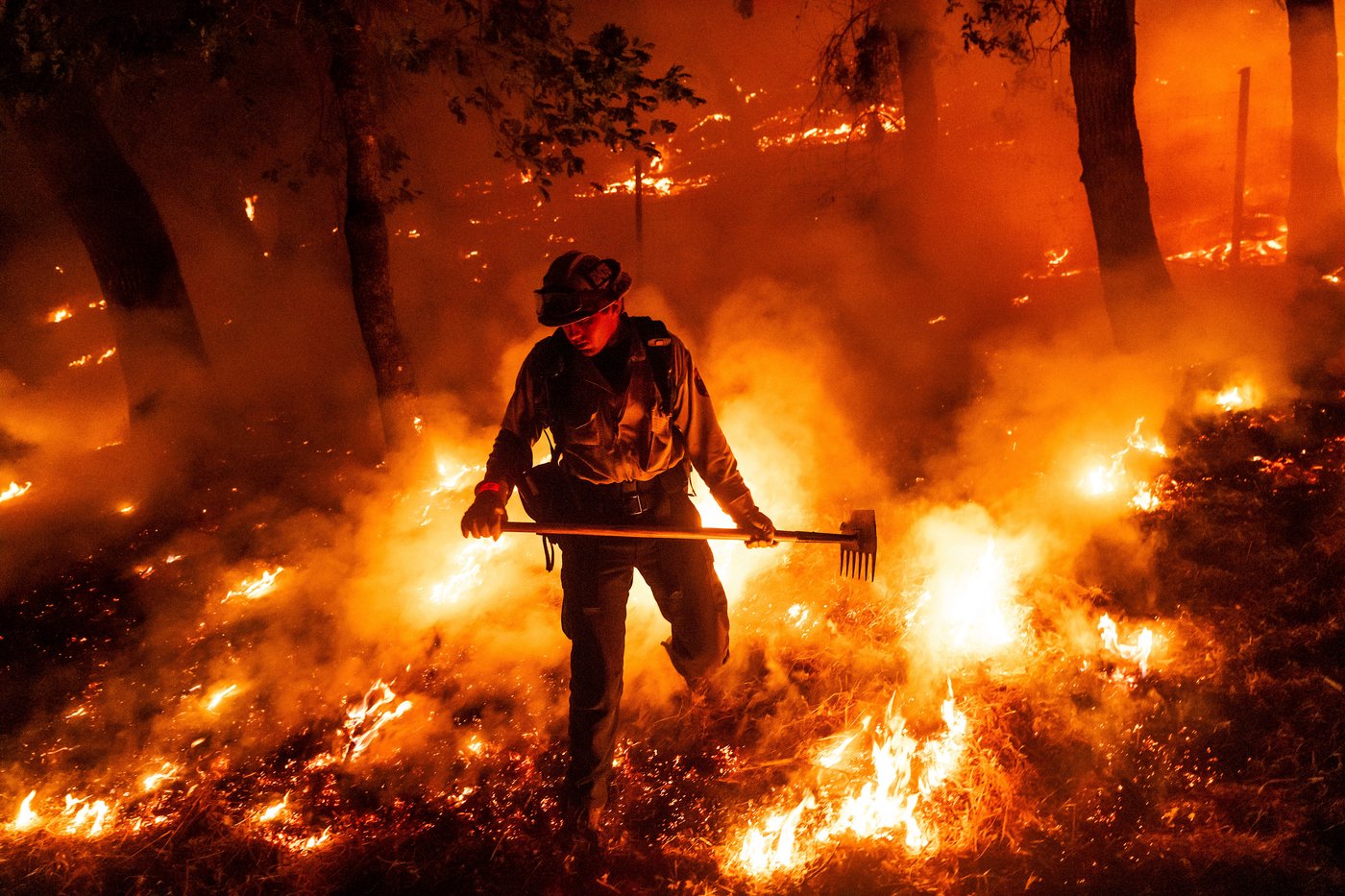 Wildfires used to 'go to sleep' at night. Climate change has them burning overtime | iNFOnews.ca