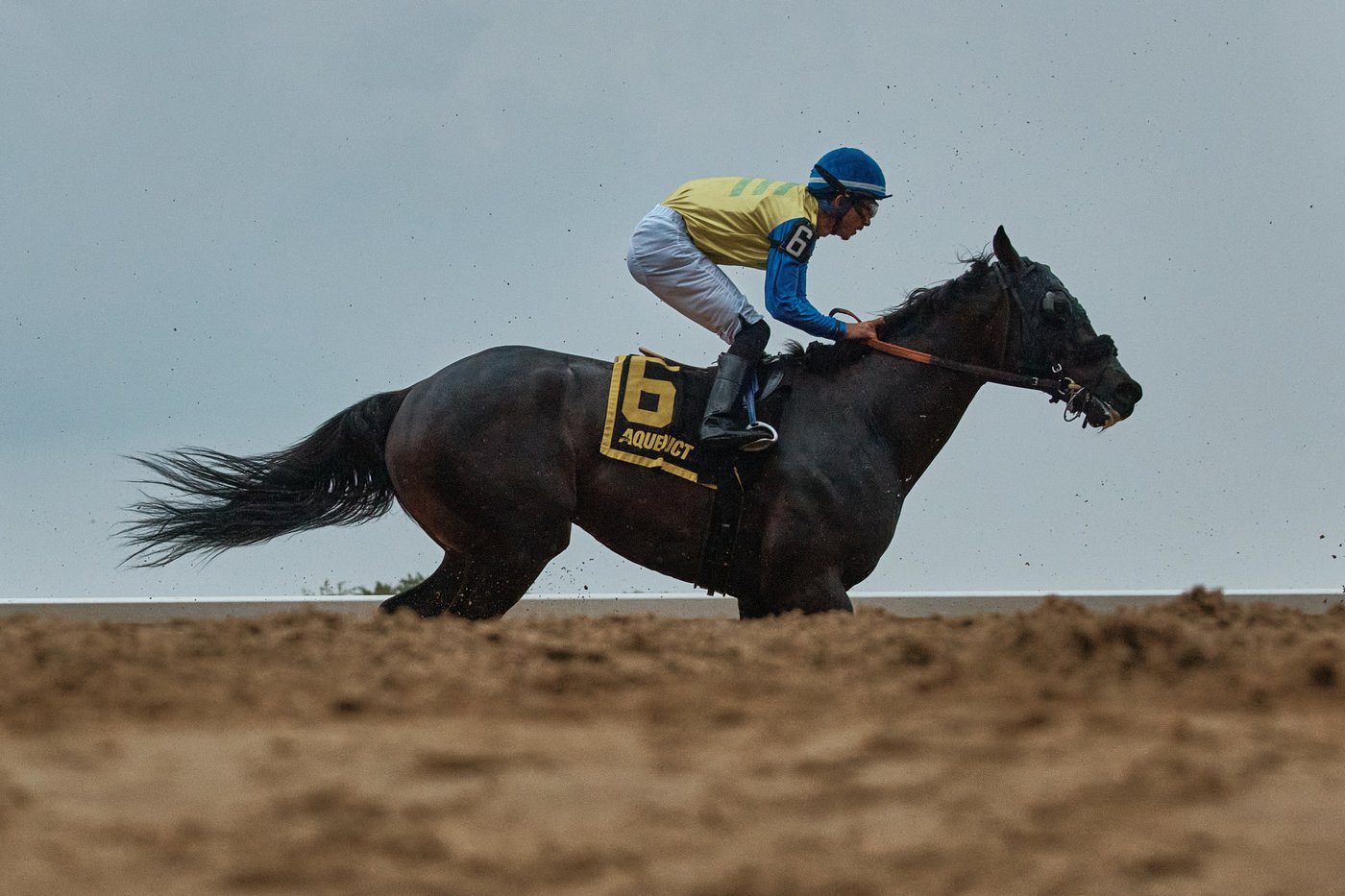 PHOTO ESSAY: Aqueduct Race Track closes after 'A Good Run' of over 130 years | iNFOnews.ca
