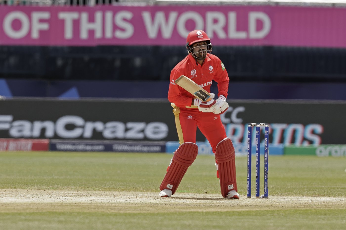 Canadian cricketers land in tough group at ICC Men's T20 World Cup | iNFOnews.ca