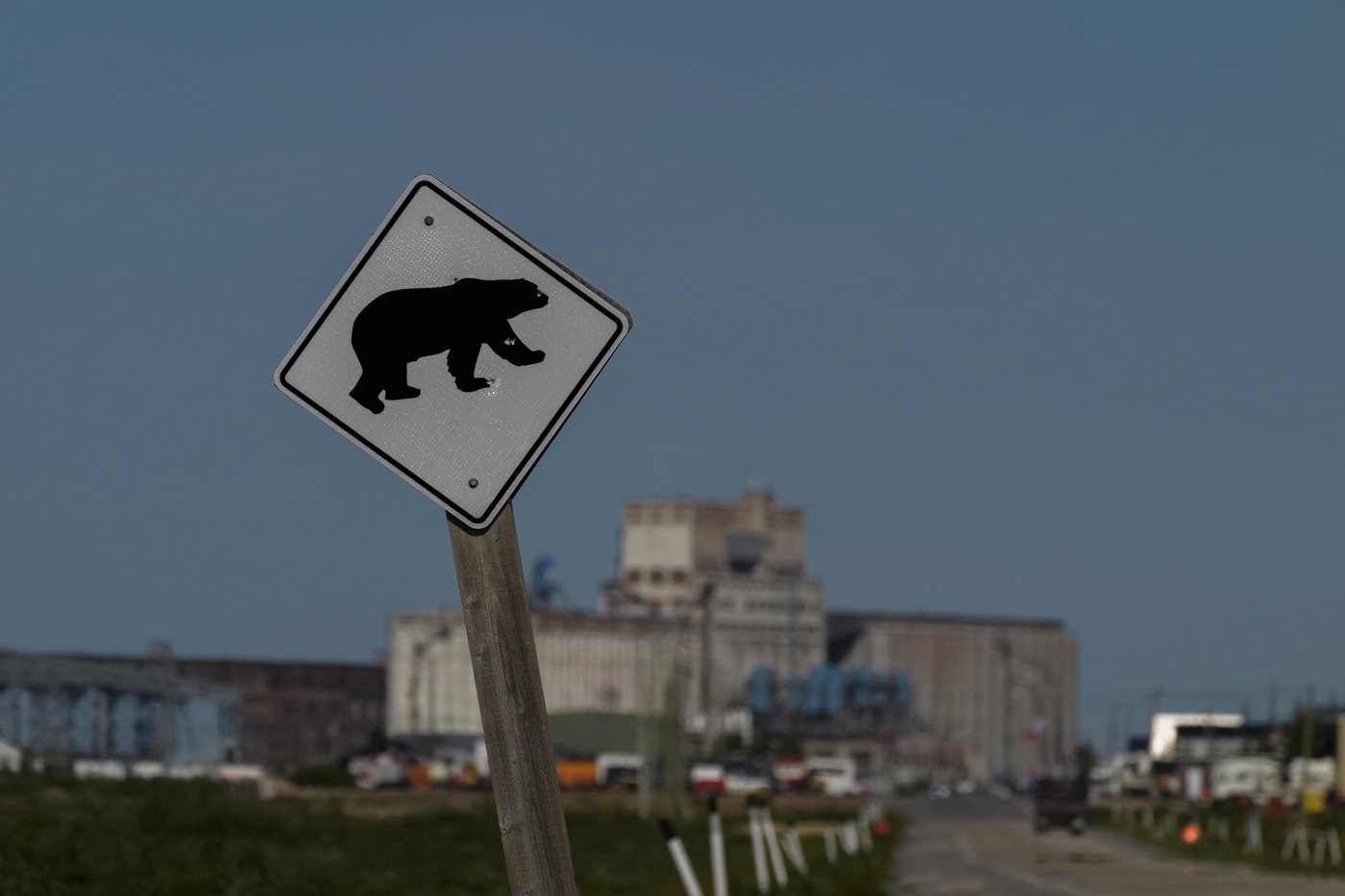 In the gateway to the Arctic, fat, ice and polar bears are crucial. All three are in trouble | iNFOnews.ca