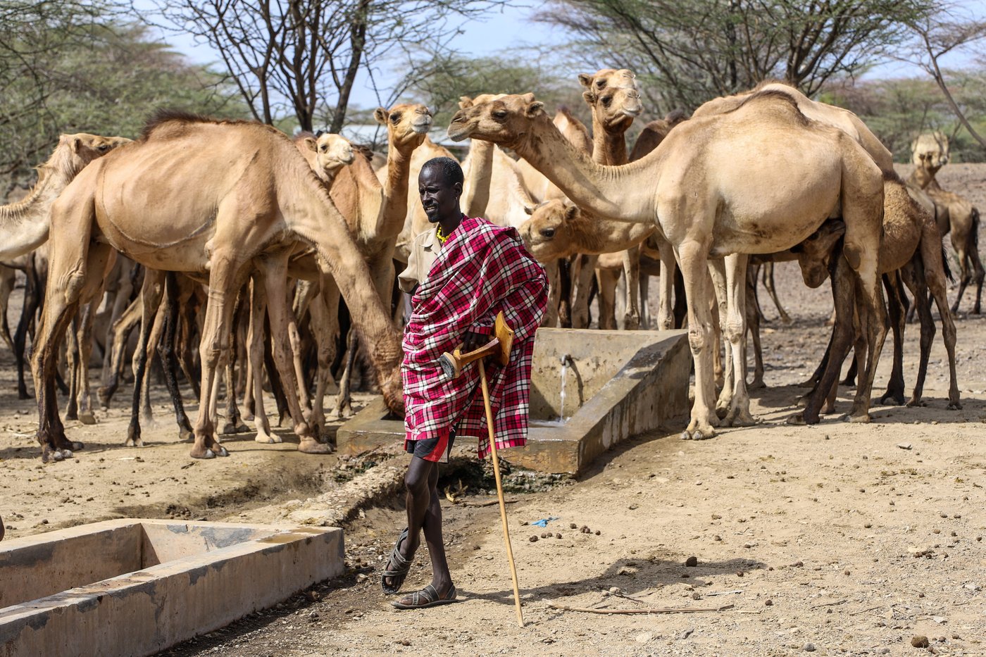 Photos show hunger and water scarcity as drought grips northern Kenya | iNFOnews.ca
