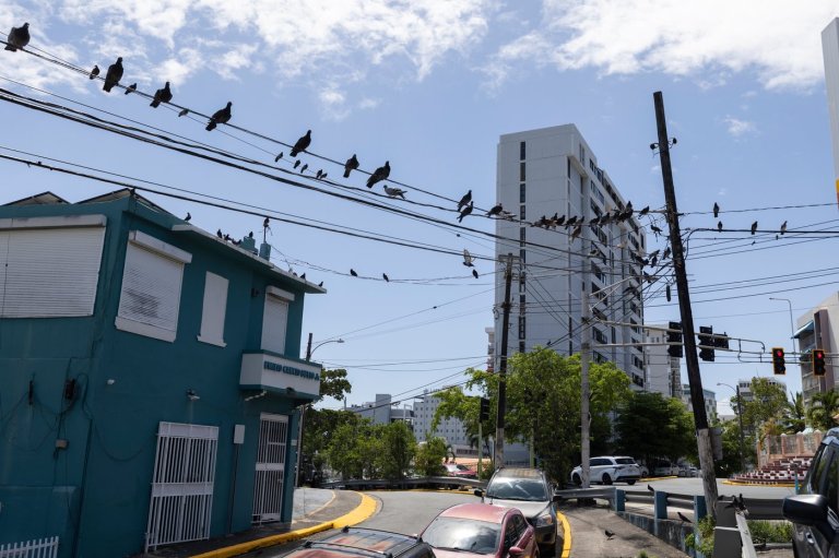 Puerto Rico holds hearings on proposed power bill increases as customers fume and outages persist | iNFOnews.ca