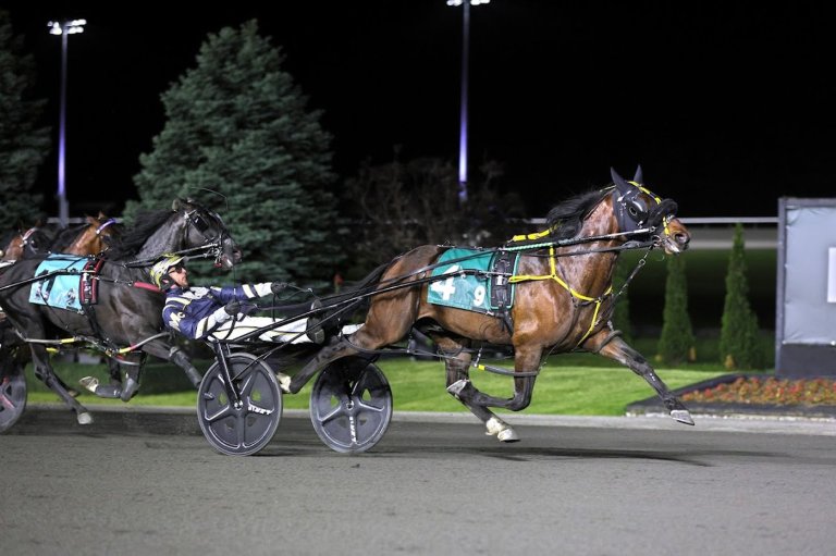 The connections for Best Chip, Ayeaye Captain Deo pay Canadian Pacing Derby fees | iNFOnews.ca