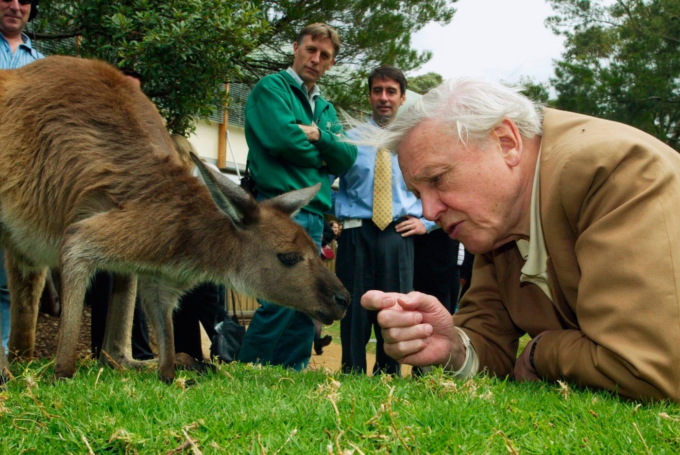David Attenborough, the excited but hushed voice of nature programs, turns 100 | iNFOnews.ca