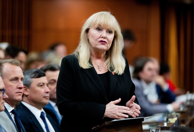 Former MP Findlay joins B.C. Conservative race amid donation row | iNFOnews.ca