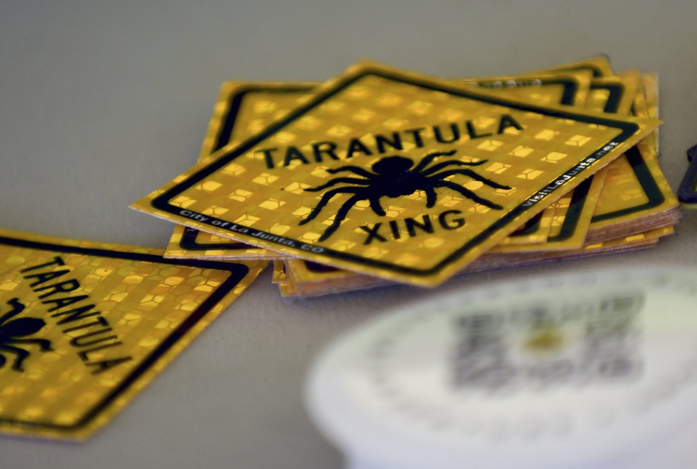 Spider lovers scurry to Colorado town in search of mating tarantulas and community | iNFOnews.ca Spider lovers scurry to Colorado town in search of mating tarantulas and community | iNFOnews.ca