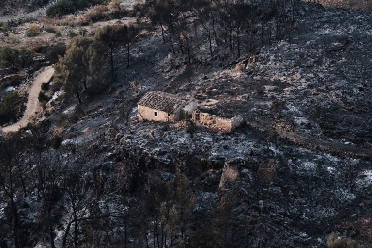 Hundreds of firefighters battle wildfire in southern Spain that killed at least 12 | iNFOnews.ca