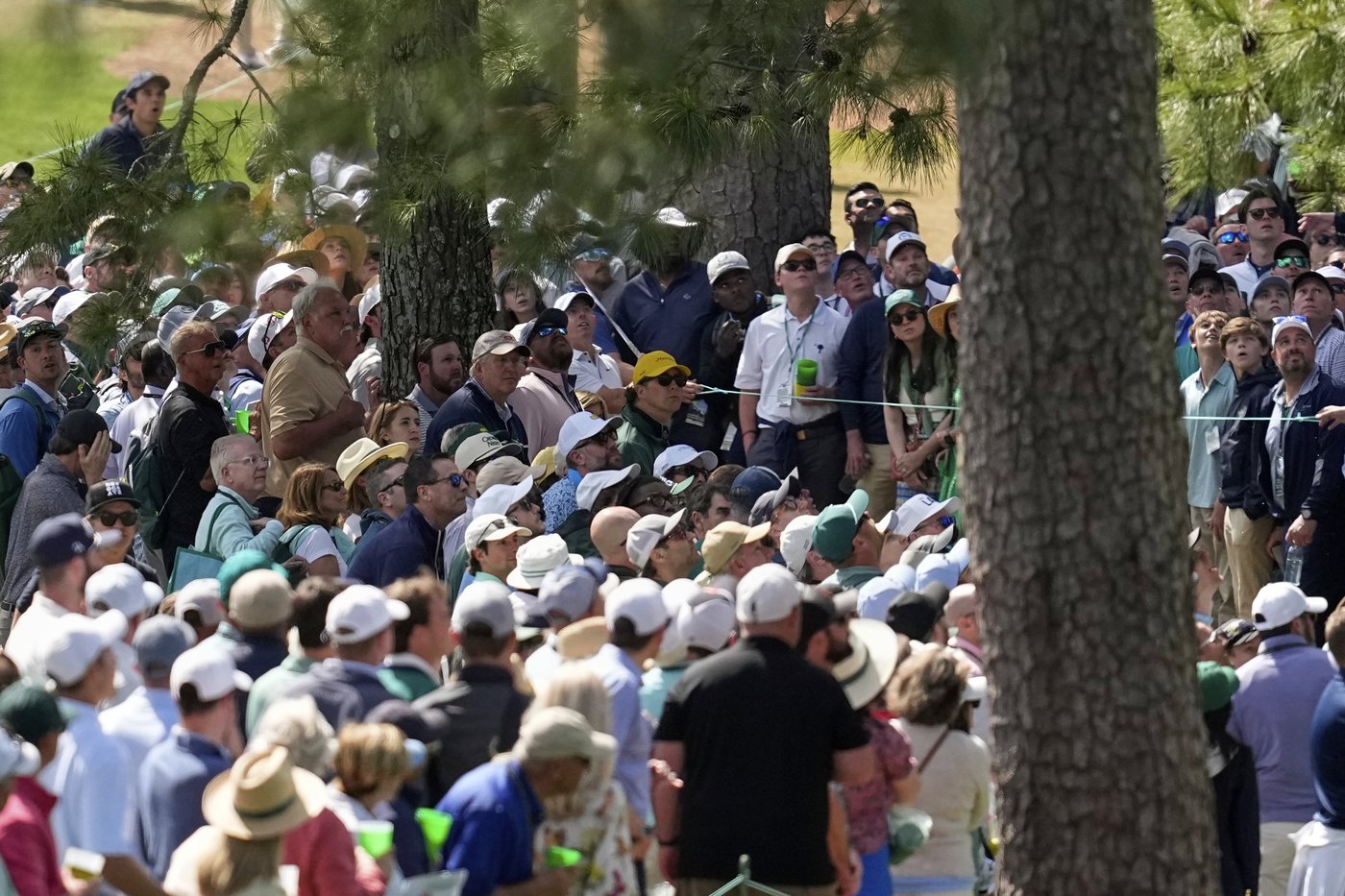 Rory McIlroy has masterful start at Augusta and closes in on career Grand Slam | iNFOnews.ca