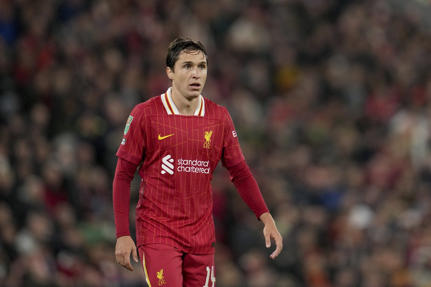 Chiesa out of Liverpool's Champions League match against Bologna but Jota available | iNFOnews.ca Chiesa out of Liverpool's Champions League match against Bologna but Jota available | iNFOnews.ca