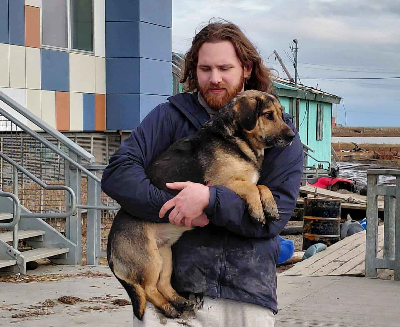 The other Alaska airlift: Volunteers save dogs from a flooded Alaska village, 1 tiny plane at a time | iNFOnews.ca