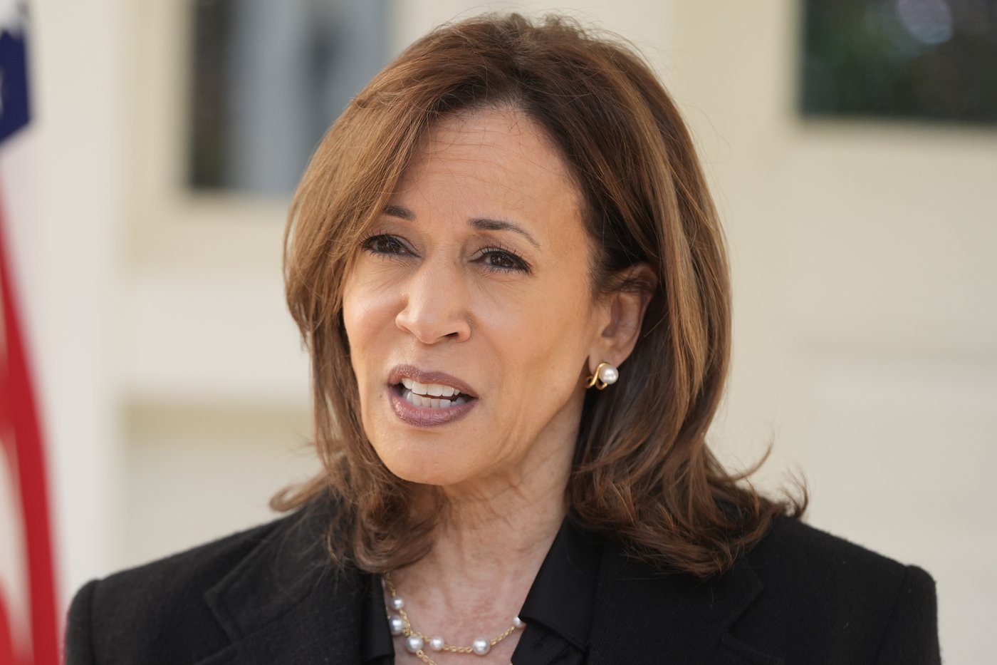 Harris says Trump 'is a fascist' after his ex-chief of staff says he wanted generals like Hitler's | iNFOnews.ca Harris says Trump 'is a fascist' after his ex-chief of staff says he wanted generals like Hitler's | iNFOnews.ca
