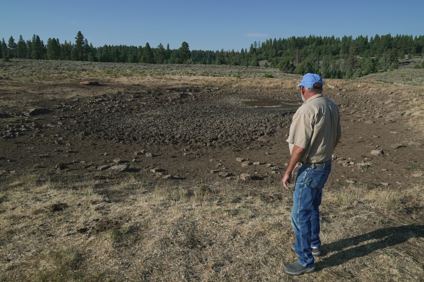 Water hauling is the new chore no rancher asked for | iNFOnews.ca Water hauling is the new chore no rancher asked for | iNFOnews.ca