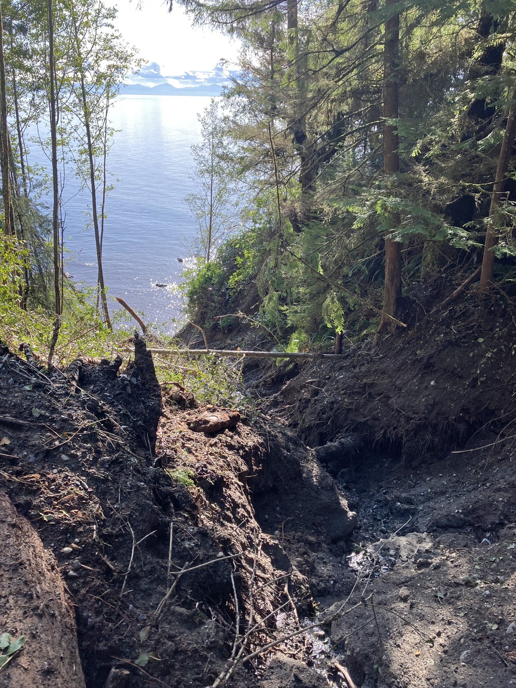 Hikers scramble for alternatives after damage shuts B.C.'s popular Juan de Fuca Trail | iNFOnews.ca