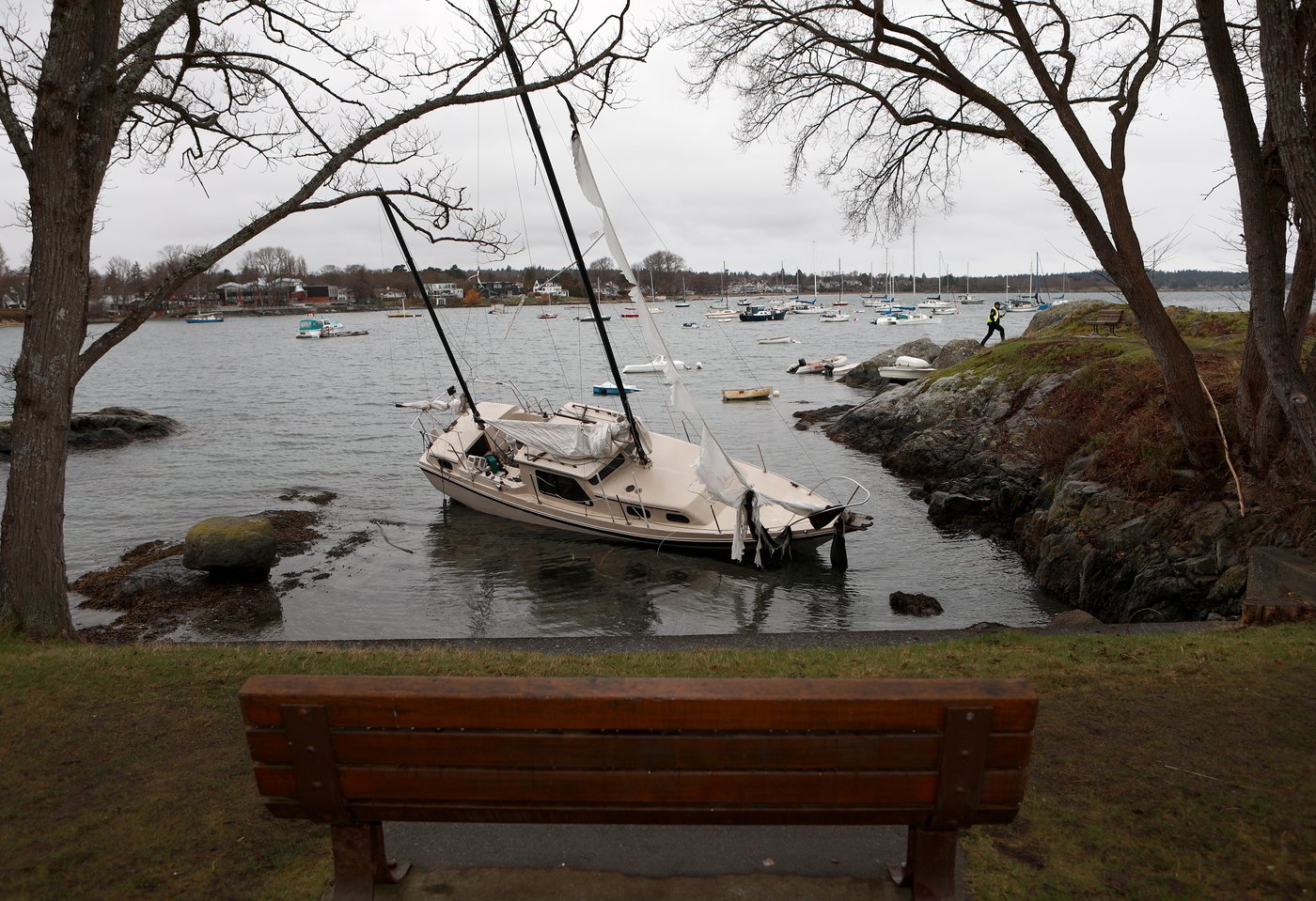 Forecasters issue 'bomb cyclone' warning for B.C., with 120 km/h winds predicted | iNFOnews.ca Forecasters issue 'bomb cyclone' warning for B.C., with 120 km/h winds predicted | iNFOnews.ca