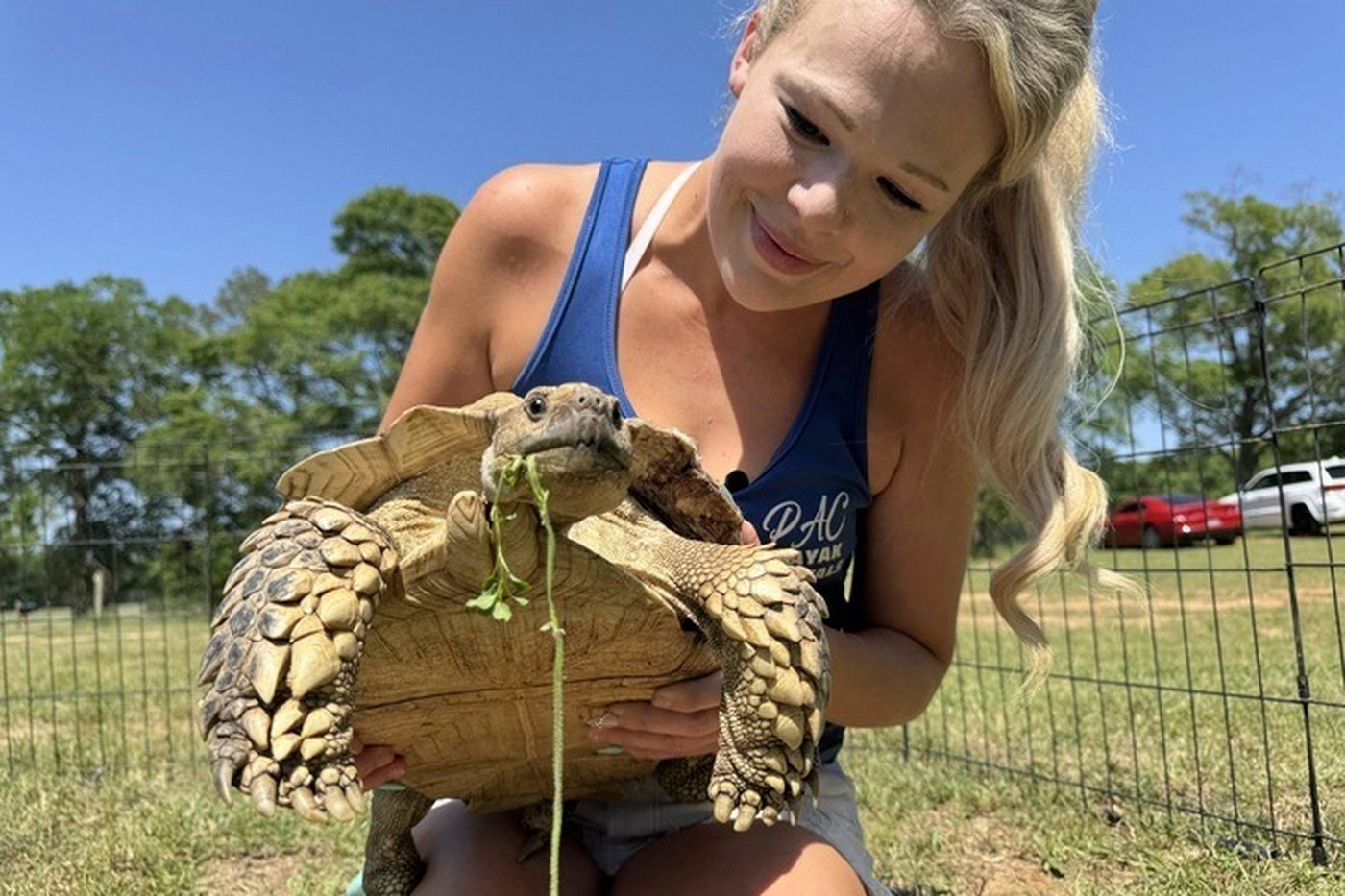 A beloved pet tortoise is reunited with its family weeks after disappearing in a Mississippi tornado | iNFOnews.ca A beloved pet tortoise is reunited with its family weeks after disappearing in a Mississippi tornado | iNFOnews.ca