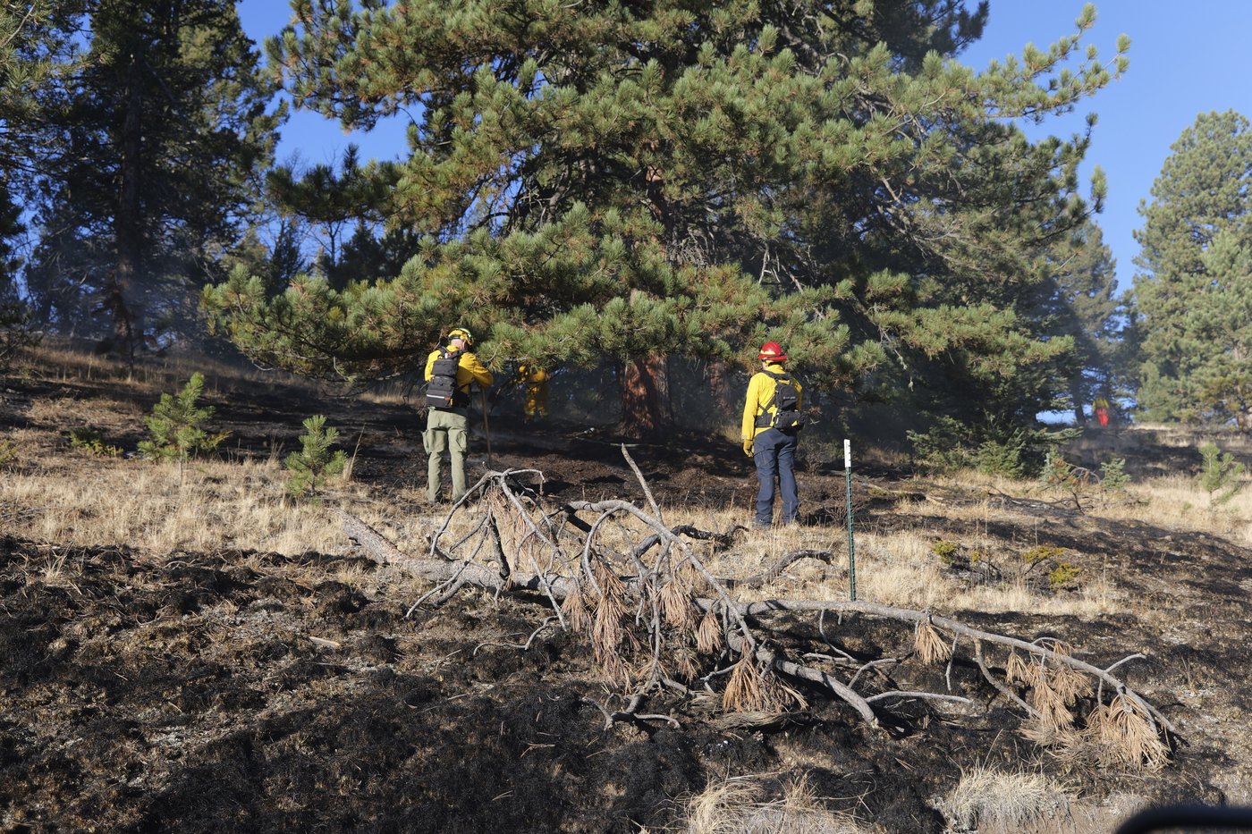 Fire destroys 1 home and forces the evacuation of 700 others in a Colorado subdivision | iNFOnews.ca
