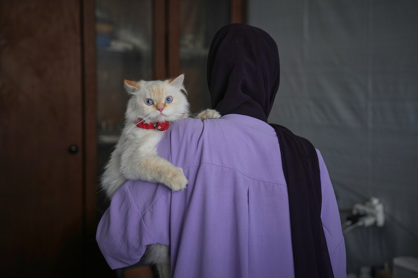 Photos of a rare veterinary clinic still open in war-battered Gaza | iNFOnews.ca