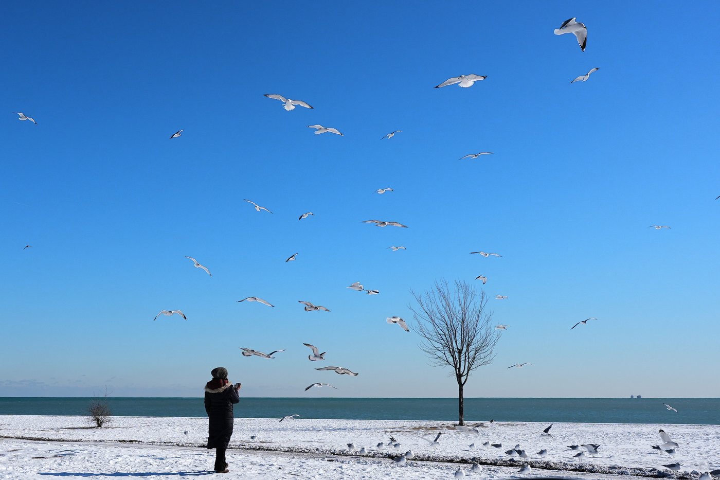 Winter storm across the US in photos | iNFOnews.ca