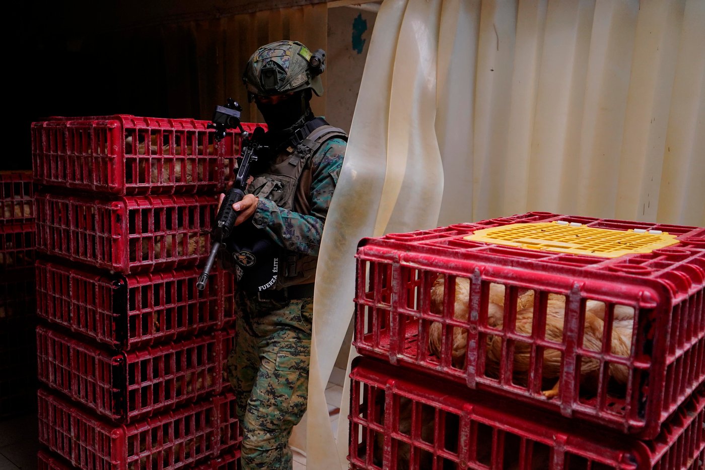 The top photos of the day by AP's photojournalists | iNFOnews.ca