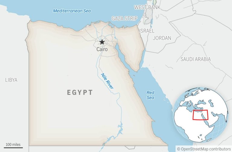 Former Egyptian doctor detained over hospital abuse allegations, released on bail | iNFOnews.ca