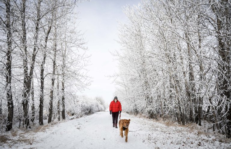 Western and Northern Canada braces for chilly, snowy Christmas | iNFOnews.ca