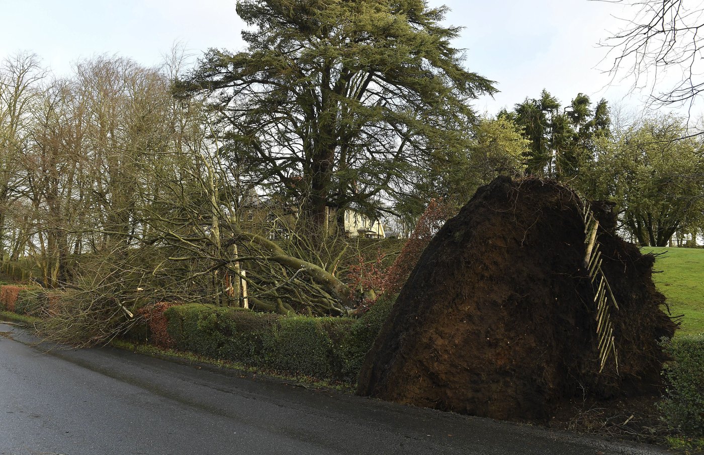 Ireland and UK clean up after unprecedented Storm Éowyn brings record winds and damage | iNFOnews.ca
