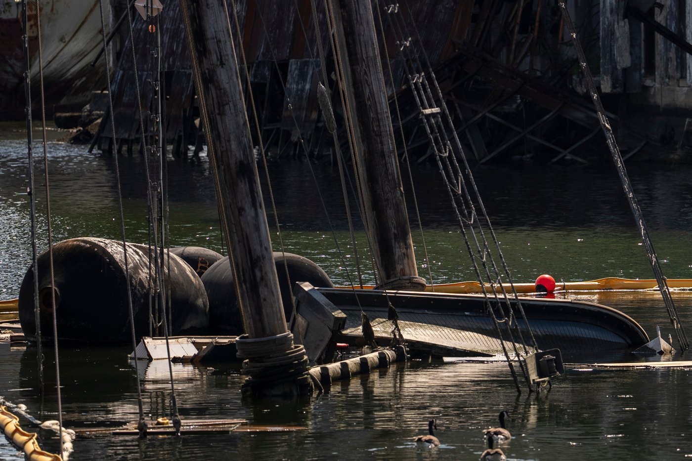 Schooners that graced a Maine-themed quarter or hosted Cousteau rest at the bottom of a NYC canal | iNFOnews.ca Schooners that graced a Maine-themed quarter or hosted Cousteau rest at the bottom of a NYC canal | iNFOnews.ca