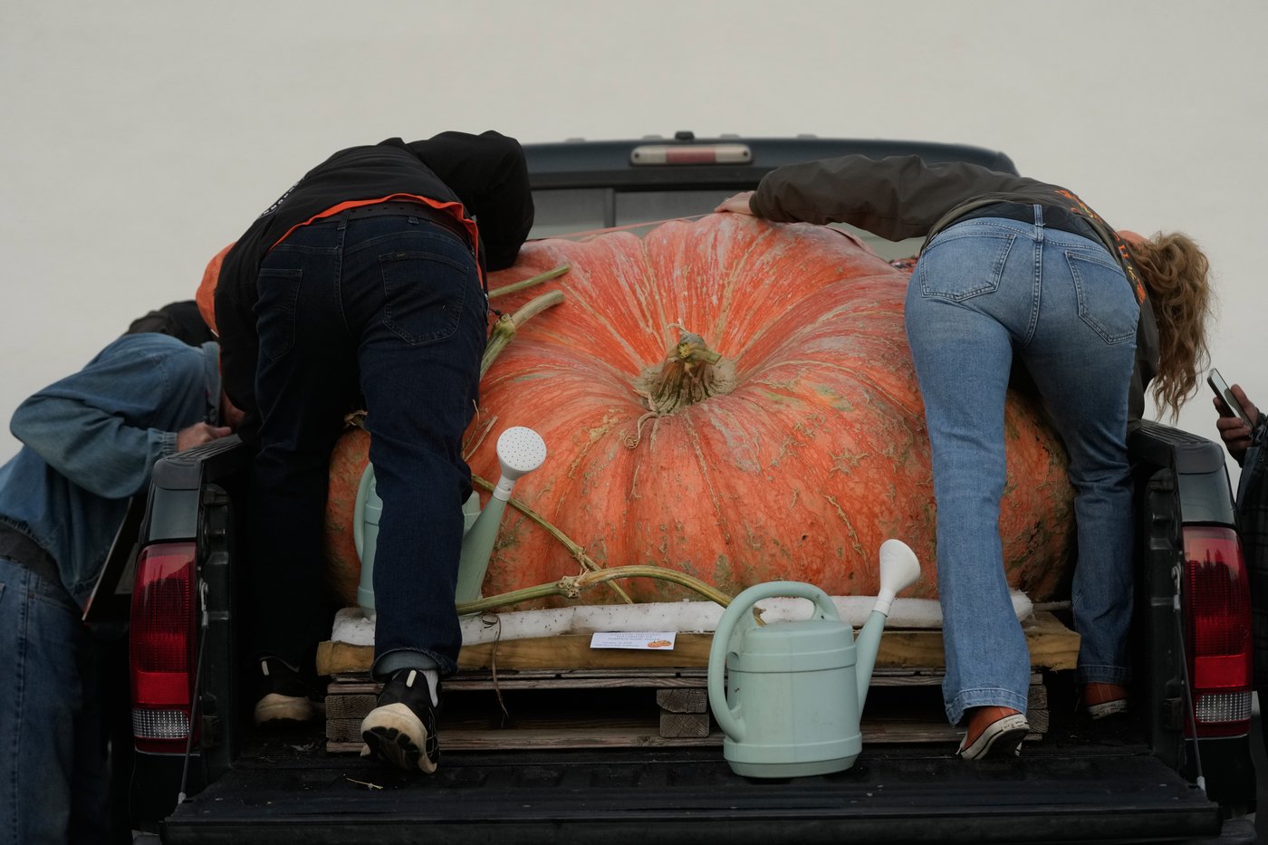 3,156-pound pumpkin grown in Rhode Island is inspected for possible world record | iNFOnews.ca