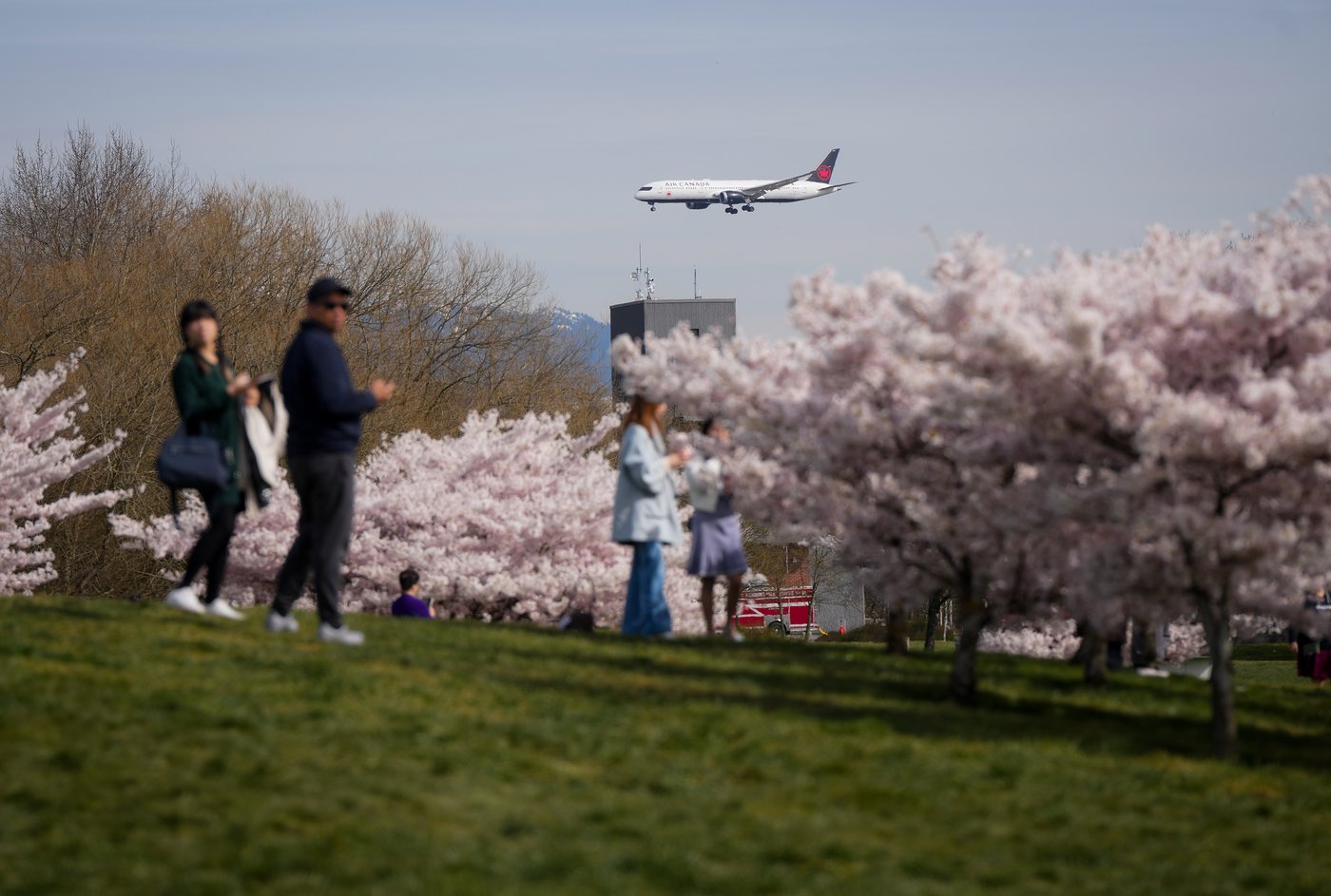 Record warmth in B.C. over weekend as high winds arrive along southern coast | iNFOnews.ca