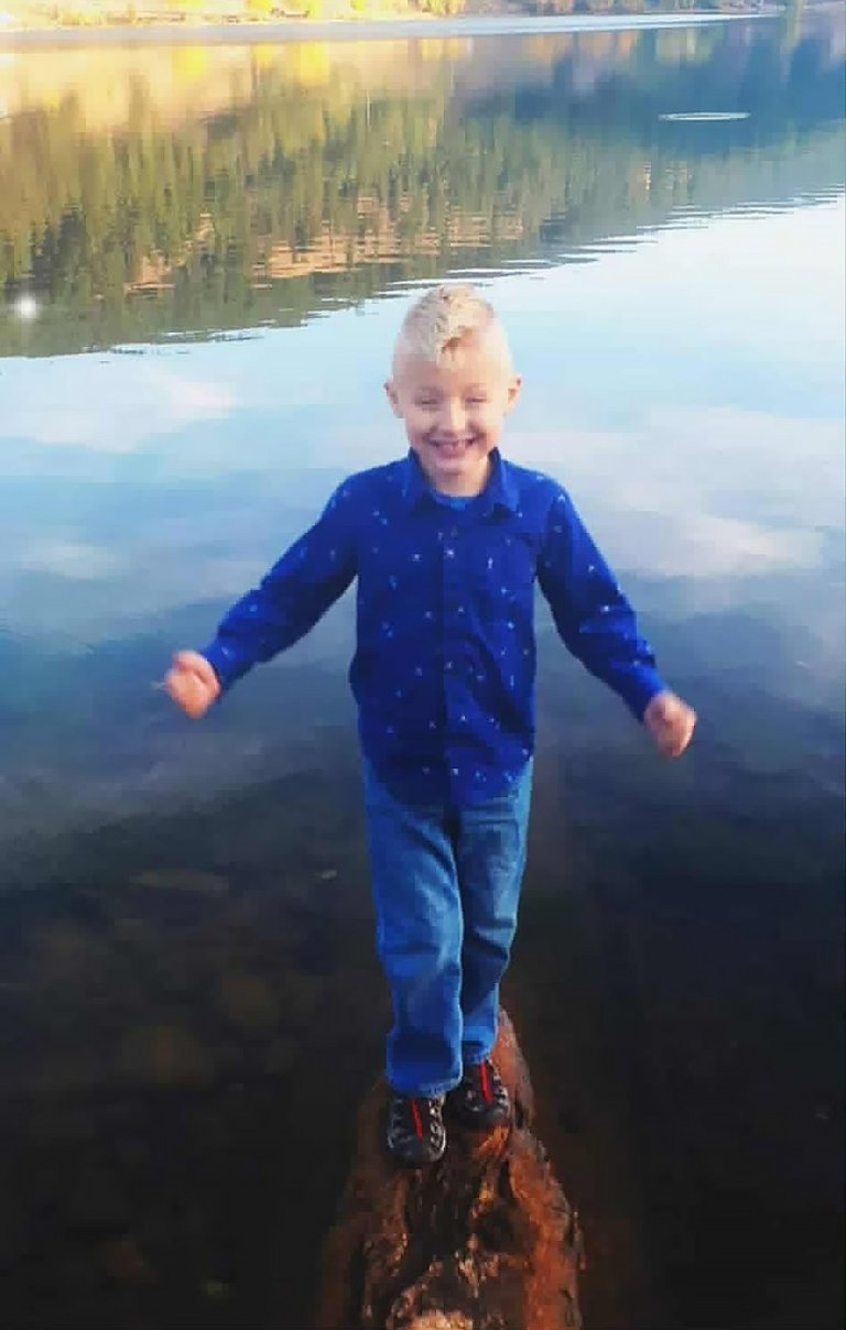 Owner of two dogs that killed boy in Edmonton gets community sentence | iNFOnews.ca