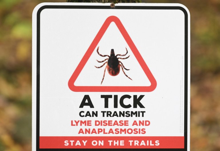 Lyme disease isn't the only tick-borne illness. Anaplasmosis is on the rise: doctors | iNFOnews.ca