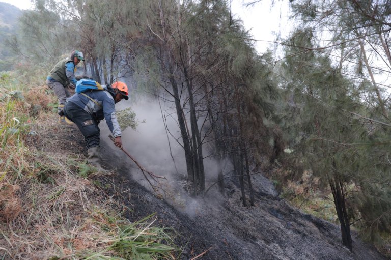 Wildfire at Indonesia's Mount Bromo mostly contained as smoke forces school closures | iNFOnews.ca