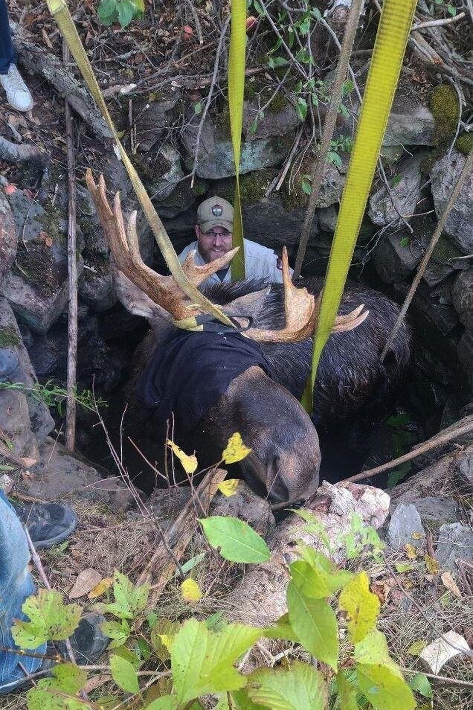 Maine wardens rescue moose trapped for hours in abandoned well | iNFOnews.ca Maine wardens rescue moose trapped for hours in abandoned well | iNFOnews.ca
