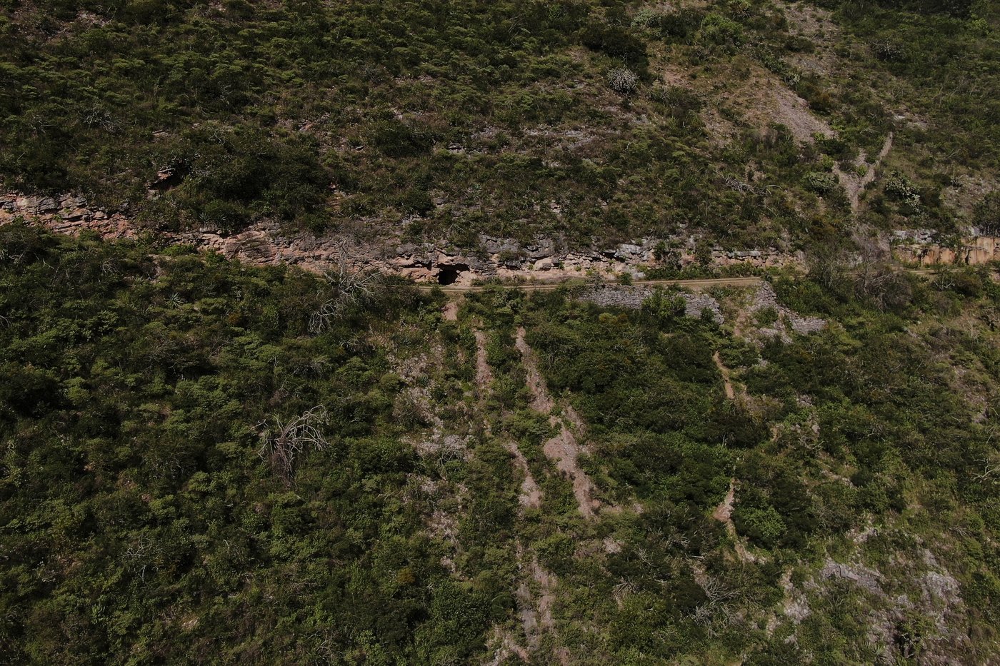 Illegal gold mining is fueling a 'mercury boom' in Mexico, poisoning people and the environment | iNFOnews.ca